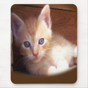 Katzen Mousepad