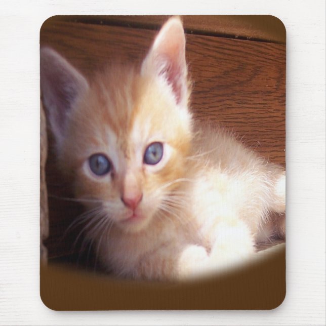 Katzen Mousepad (Vorne)