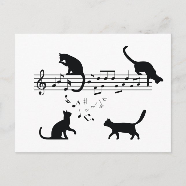 Katzen Musiknoten spielen Postkarte (Vorderseite)