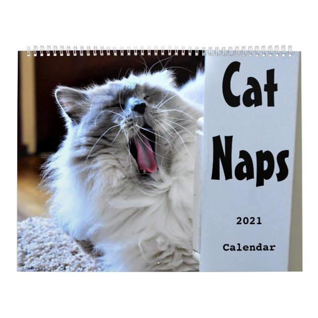 Katzen-Nickerchen 2021-Kalender Kalender (Titelbild)