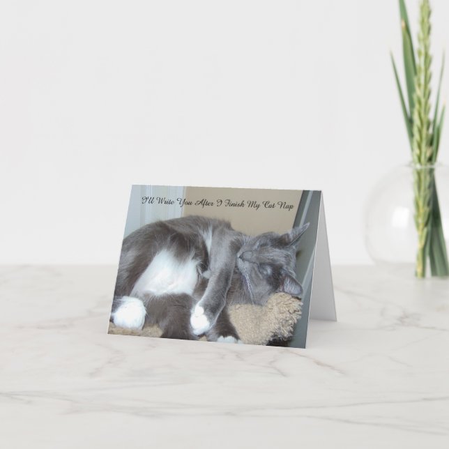 Katzen-Nickerchen-Karte Karte (Vorderseite)