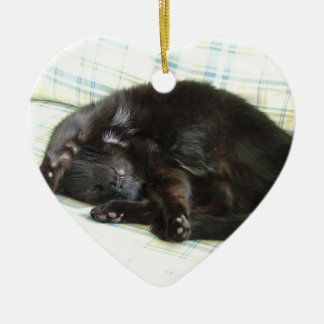 Katzen-Nickerchen Keramik Ornament