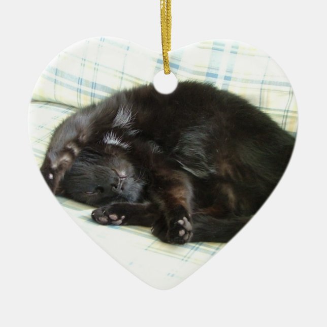 Katzen-Nickerchen Keramik Ornament (Vorne)