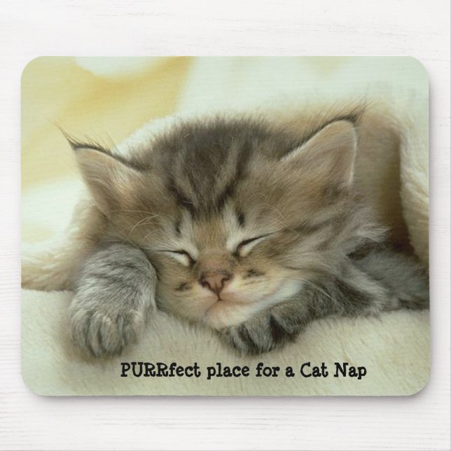 Katzen-Nickerchen Mousepad (Vorne)