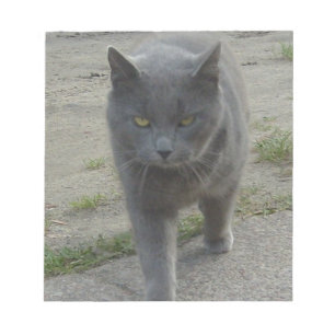 Katzen Notizblock