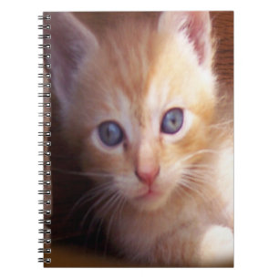 Katzen Notizblock