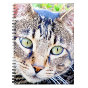 Katzen-Notizbuch Notizblock