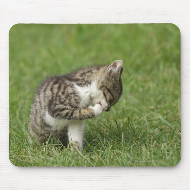 Katzen-Portrait Mousepad (Vorne)