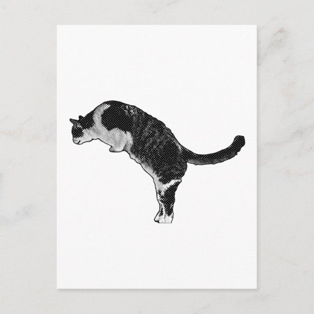 Katzen-Pose Freude Postkarte (Vorderseite)