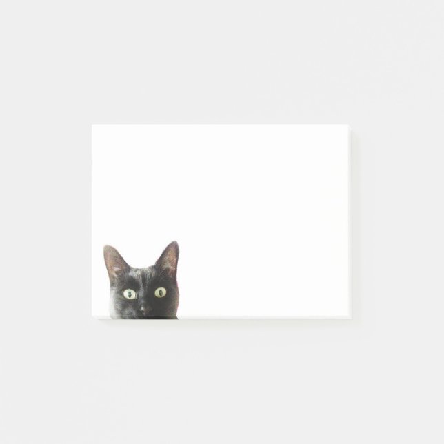 Katzen-Post-Itanmerkungen Post-it Klebezettel (Vorderseite)