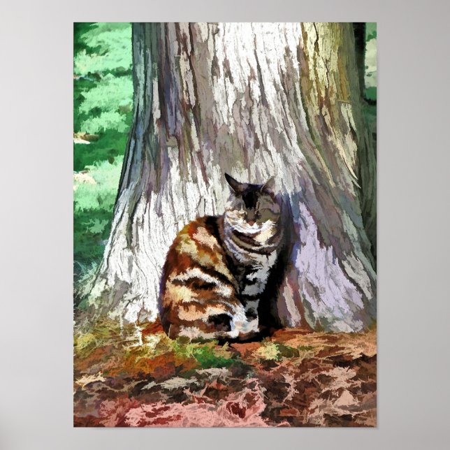 KATZEN POSTER (Vorne)