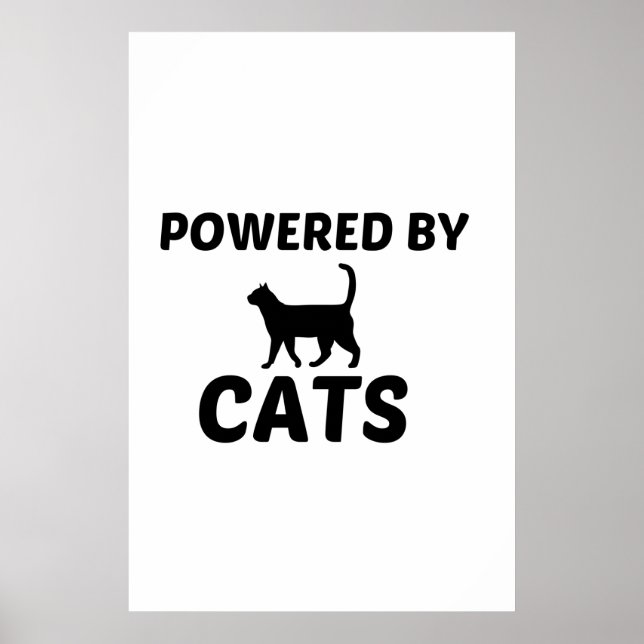 KATZEN POSTER (Vorne)