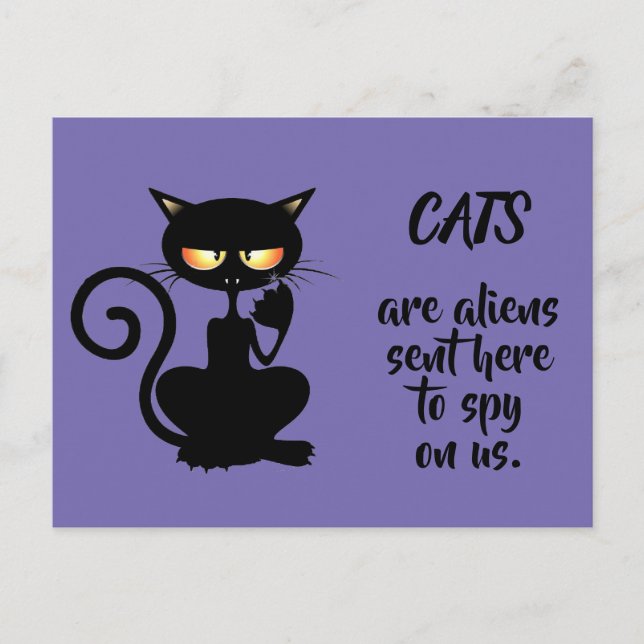 Katzen Postkarte (Vorderseite)