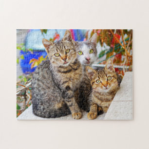 Katzen Puzzle