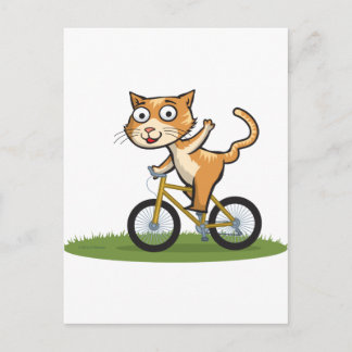 Katzen-Radfahrer Postkarte