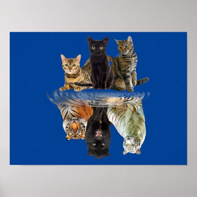 Katzen Reflection Friend Cat Lovers Niedlich Tiger Poster (Vorne)