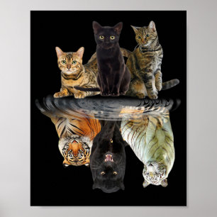 Katzen Reflection Friend Cat Lovers Niedlich Tiger Poster