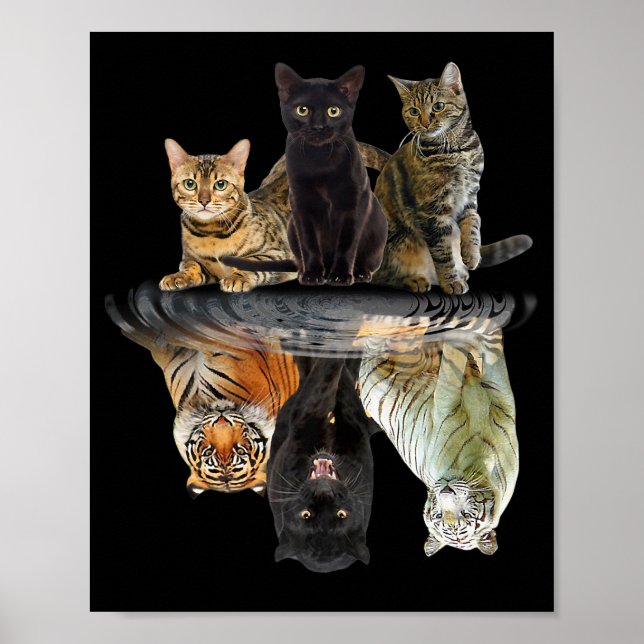 Katzen Reflection Friend Cat Lovers Niedlich Tiger Poster (Vorne)