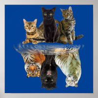 Katzen Reflection Friend Cat Lovers Niedlich Tiger