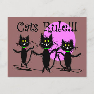 Katzen Regel!!!  Black Cat Design...bezaubernd Postkarte