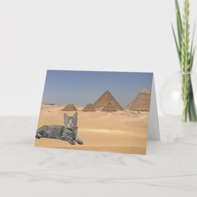 Katzen Regel! Karte (Vorderseite)