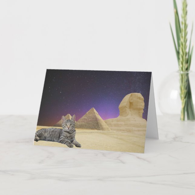 Katzen Regel! Karte (Vorderseite)