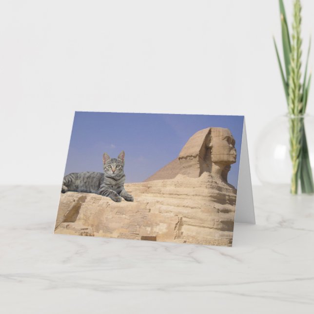 Katzen Regel! Karte (Vorderseite)