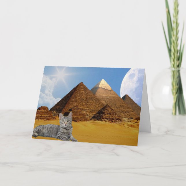 Katzen Regel! Karte (Vorderseite)