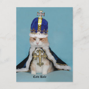 Katzen Regel Postkarte