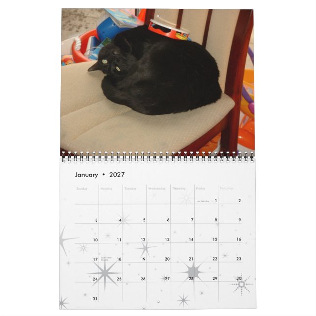 Katzen, ruhmreiche Katzen Kalender (Jan 2027)