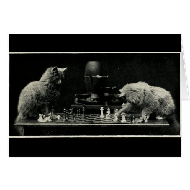 Katzen Schach spielen (Vorderseite (Horizontal))