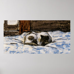 Katzen Schlafen auf einem Bett Poster