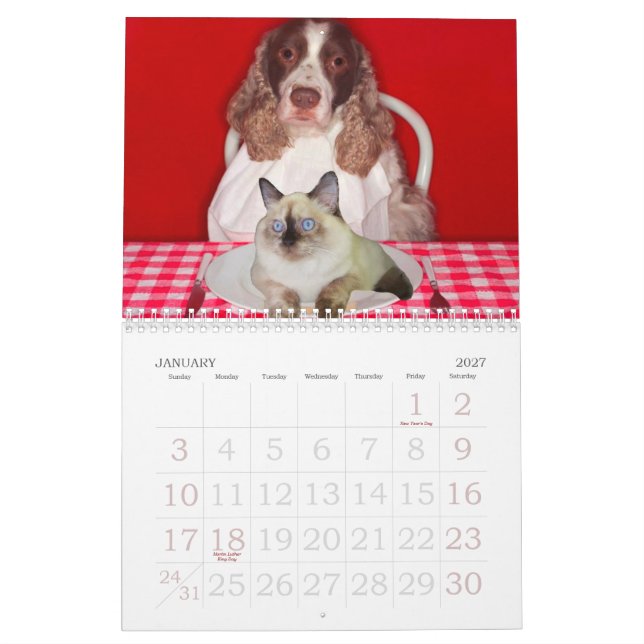 Katzen-Schleifer-Wandkalender Kalender (Jan 2027)