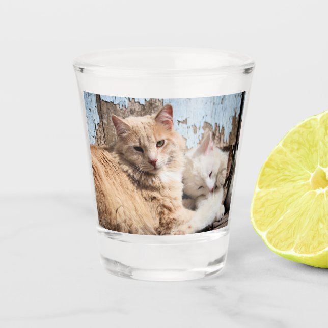 Katzen Schnapsglas (Vorderseite)
