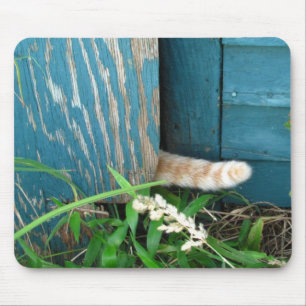 Katzen-Schwanz ~ mousepad
