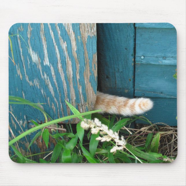 Katzen-Schwanz ~ mousepad (Vorne)