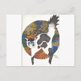 Katzen - Schwarz/Weiß Postkarte