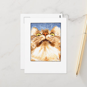 Katzen Selfie-DNM-Postkarten Postkarte