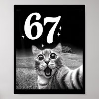 Katzen-Selfie mit 67 Meme Lustige Katzen Grafik fü
