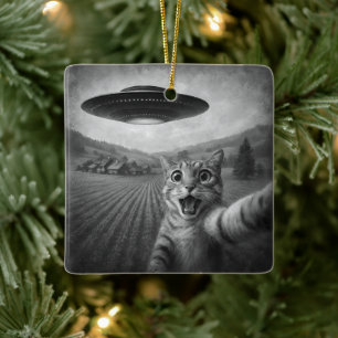 Katzen-Selfie mit Alien-UFO Lustige Katzen-Geschen Keramikornament