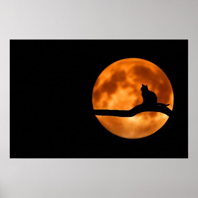 Katzen-Silhouette-Mondlichtplakat Poster (Vorne)