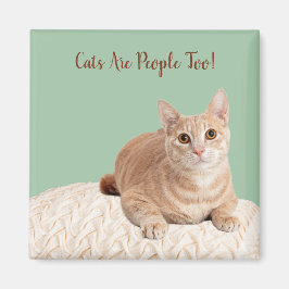 Katzen sind auch Leute Magnet