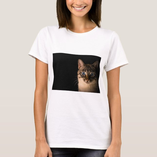 Katzen sind die besten 20 T-Shirt (Vorderseite)