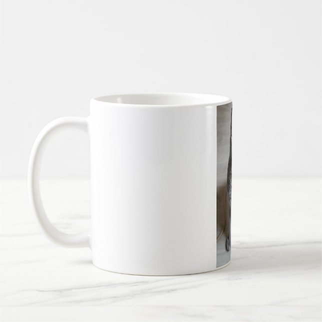 Katzen sind die besten 57 kaffeetasse (Links)