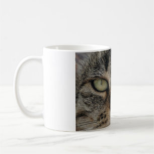 Katzen sind die besten 98 kaffeetasse