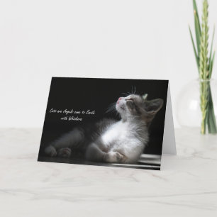 Katzen sind Engel kommen auf die Erde, notecard Ankündigung