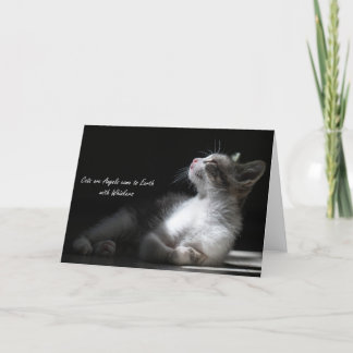 Katzen sind Engel kommen auf die Erde, notecard Ankündigung