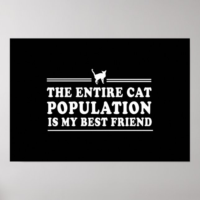 Katzen sind mein bester Freund Poster (Vorne)