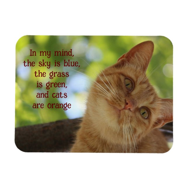 Katzen sind orange magnet (Horizontal)