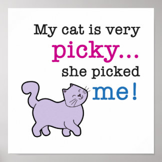 Katzen sind picky Funny Cat Sprichwort Poster